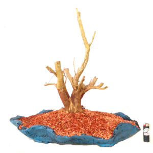 Bonsai de Resedá - Ref. 01